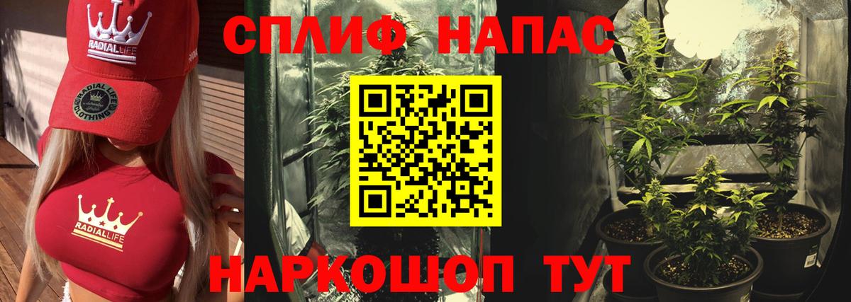 Знаменск  Каннабис White Widow  Конопля THC 21%  Вход с VPN  Марихуана индика 